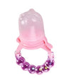 Baby Food Pacifier